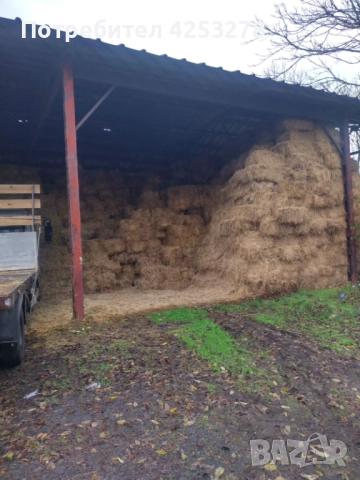 Продавам Бали Люцерна !, снимка 2 - За селскостопански - 52836781