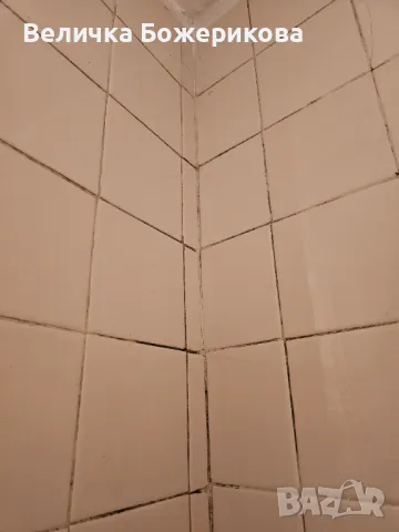 Почистване на домове , снимка 8 - Почистване на домове - 48887963