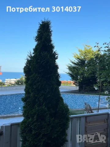 Тристаен апартамент с английски двор, снимка 12 - Апартаменти - 50521531