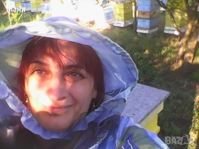 Пчелен прашец, снимка 2 - Пчелни продукти - 39497692