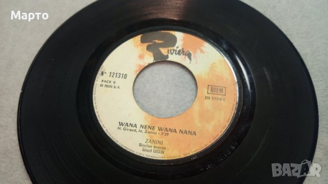 Малки грамофонни плочи френски за франкофони – France Gall, Ganini, Christophe, и др., снимка 6 - Грамофонни плочи - 43982750