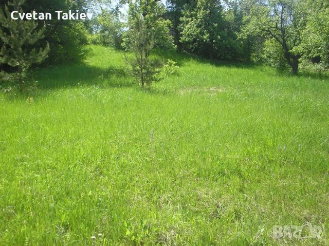 Парцел в УПИ Владая, снимка 2 - Парцели - 30232065