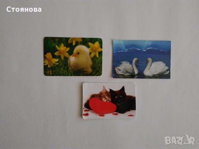 Календарчета - 1991 г., 1994 г.,2003г.,2005 г., 2006 г., 2008 г., 2009 г., 2011 г., 2012 г. 2016 г. , снимка 14 - Колекции - 33070132