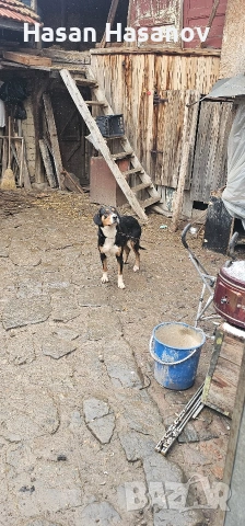 женска на 1г , снимка 3 - Други - 53249357