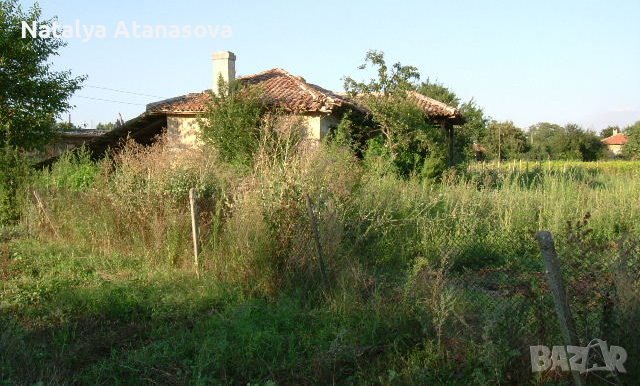 Селска къща Златия, снимка 6 - Къщи - 39719869