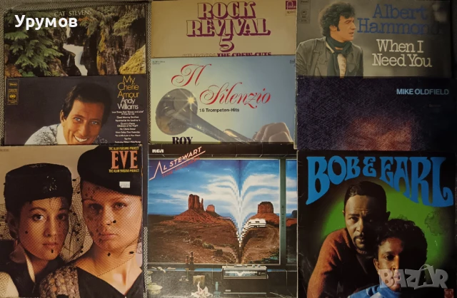 Лот плочи - The Alan Parsons Project, Cat Stevens, Mike Oldfield, Al Stewart