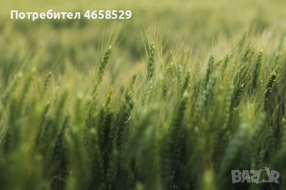 Продавам земеделска земя