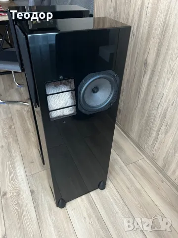 Подово стоящи тонколони Rega rs7 , снимка 9 - Тонколони - 48577391