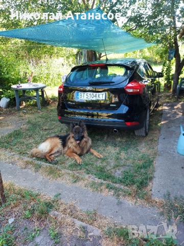 ford focus 1.5 benzin eco boos 2015g., снимка 4 - Автомобили и джипове - 52795252