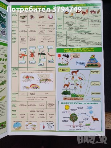 Помагало по Биология, снимка 2 - Учебници, учебни тетрадки - 43226774