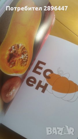 Книгата на шев Манчев и Шишков, снимка 6 - Колекции - 35569842