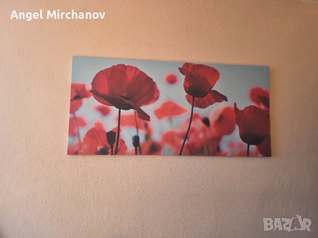 картина макове