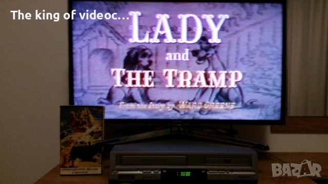 Видеокасета  " МЕЧЪТ В КАМЪКА " & " ДАМАТА И СКИТНИКЪТ " VHS , снимка 17 - Анимации - 53297743