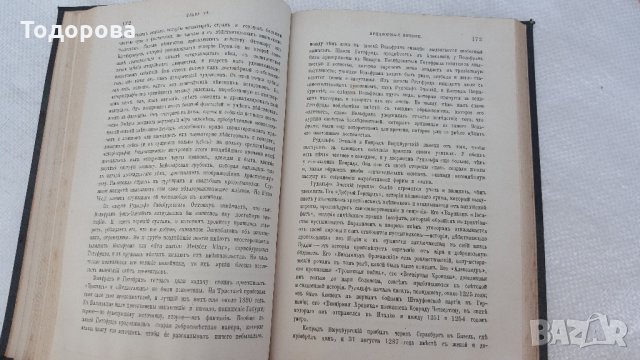 Книга от 1893 година-История на немската литература, снимка 5 - Антикварни и старинни предмети - 28379514