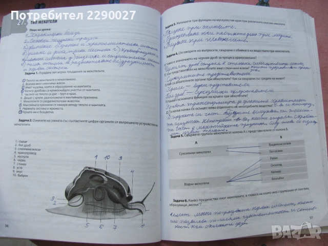 Учебна тетрадка по Биология за 7 клас - попълнена, снимка 3 - Учебници, учебни тетрадки - 51735638