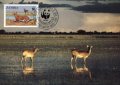 Замбия - 1987 - 4 броя Карти Максимум - WWF, снимка 1 - Филателия - 38843749