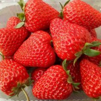 100 гигантски ягодови семена от плод ягода ягоди органични плодови ягодови семена от вкусни ягоди от, снимка 10 - Сортови семена и луковици - 27610133