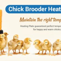 Нагревателна затопляща плоча за пиленца MS-25x25 см Безплатна доставка, снимка 5 - За птици - 37390673