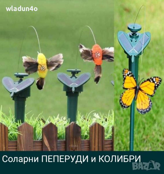 Соларни ПЕПЕРУДИ,КОЛИБРИ.Лалета-8лв/9лв/10лв, снимка 1