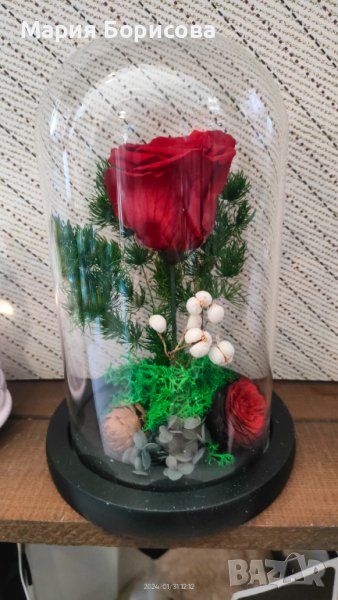 Истинска балсамирана роза в стъкленица , снимка 1