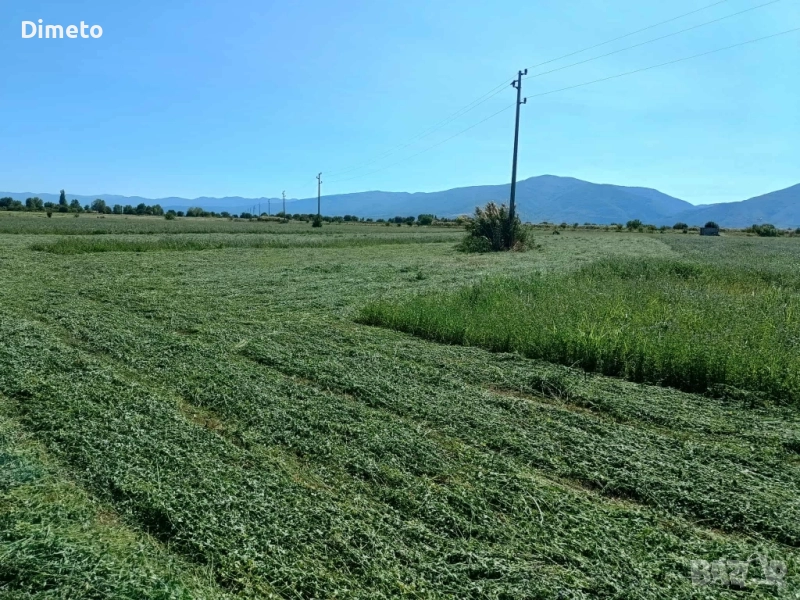 Бали люцерна, снимка 1