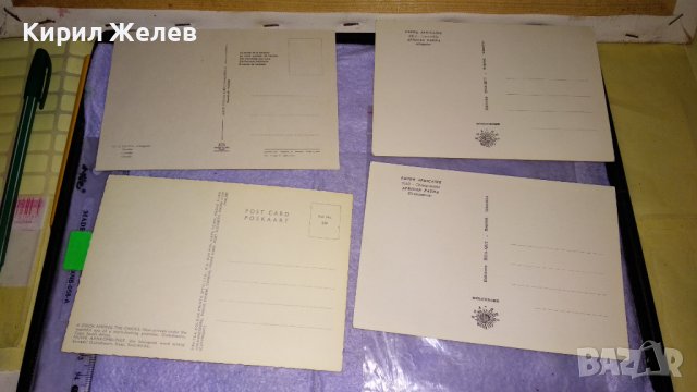 ЛОТ 4 СТАРИ ПОЩЕНСКИ КАРТИЧКИ ТЕМА ДИВА ПРИРОДА АФРИКА РЯДКА ФАУНА 6515, снимка 6 - Филателия - 38790422