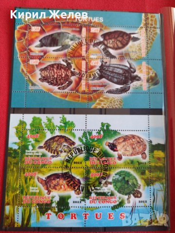 Пощенски марки чиста комплектна серия КОСТЕНУРКИ за колекция декорация поща Конго,Чад 29507, снимка 12 - Филателия - 37722961