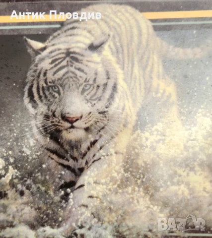 Керамична чиния „White Lightning“ – John Seerey-Lester, The Bradford Exchange (1999), снимка 2 - Декорация за дома - 51338276