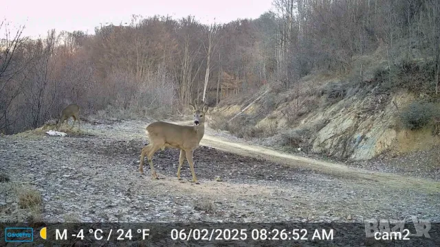 Ловна камера GardePro X60 Pro Max – С опция за видео на живо, снимка 8 - Оборудване и аксесоари за оръжия - 49588478