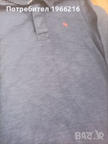 Блузки с якичка , снимка 2 - Детски Блузи и туники - 43812805