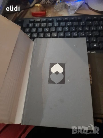 ГРЕШНИЦА ВАНЯ ПЕТКОВА, снимка 2 - Художествена литература - 47178252