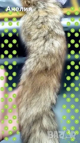 Истинска от едно време за украса на вилата, снимка 4 - Декорация за дома - 51362804