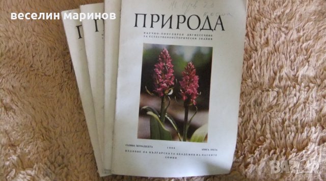 Продавам антикварни вестници и списания от преди 1944 година и от периода на социализма, снимка 13 - Антикварни и старинни предмети - 32666868
