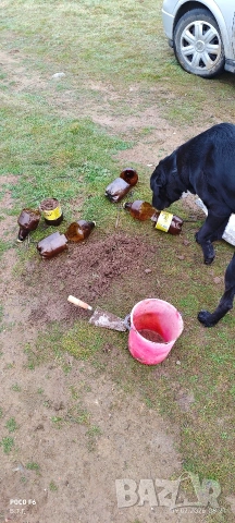 изработвам и продавам саксий от пластмасови бутилки, снимка 2 - Други стоки за дома - 53433937