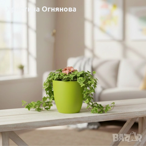 Саксия с поливна система Ø18×H16 см - за здрава коренова система, снимка 2 - Други стоки за дома - 53517146