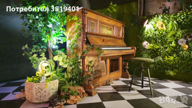 Зала за детски и тийн рождени дни "Elysium Garden", снимка 2 - Детегледачки, детски центрове - 52807133