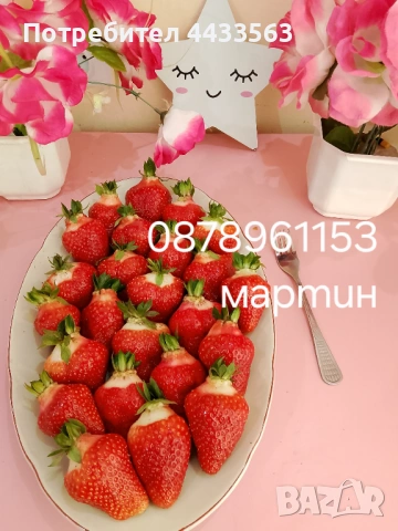 Разсад ягоди , снимка 6 - Разсади - 53132731