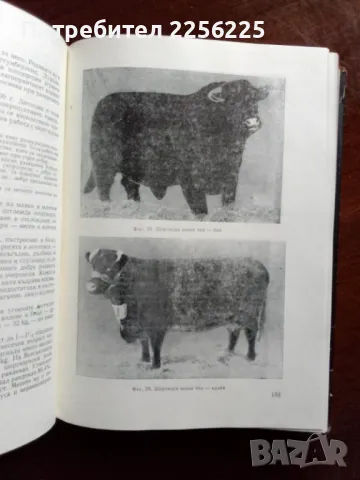 Говедовъдство 1969 г. , снимка 4 - Специализирана литература - 48351856
