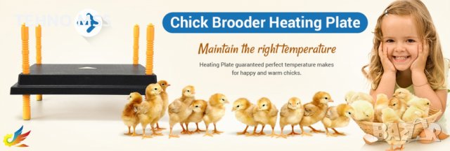 Нагревателна затопляща плоча за пиленца MS-25x25 см Безплатна доставка, снимка 5 - За птици - 37390673