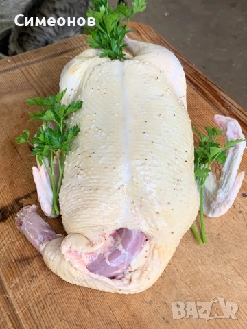 Патици,Пуйки , снимка 9 - Патици и гъски - 51881612