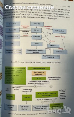 Хронични възпалителни заболявания на червата - поглед от ХХІ век Антония Атанасова, снимка 4 - Специализирана литература - 43747966