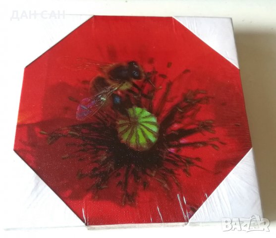 неразпечатвана картина пчела Франция, снимка 4 - Картини - 27863209