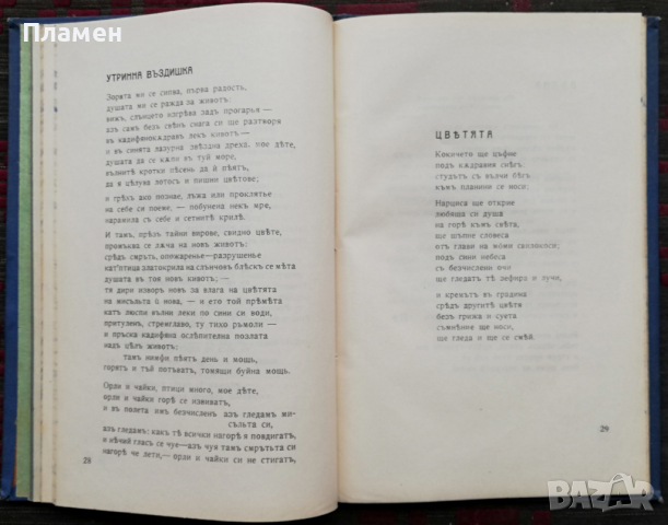 Дни и нощи Цветанъ Парашкевовъ /1909/, снимка 4 - Колекции - 36378204