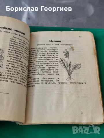 Лечебните билки 1932 г Васил Нейчев , снимка 2 - Художествена литература - 51831755