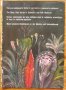 Най-употребяваните билки в научната и народна медицина, Колектив, снимка 1 - Специализирана литература - 33191522