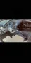 Mitsubishi Eclipse 2.4 165к. с, снимка 4