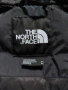 Зимно пухено яке The North Face 700 M , снимка 7