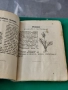 Лечебните билки 1932 г Васил Нейчев , снимка 2