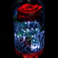 Вечна роза в голяма стъкленица - Стилен подарък за рожден ден на жена / Уникален подарък за юбилей, снимка 4 - Декорация за дома - 19454247