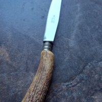 Нож Solingen с дръжка от еленов рог , снимка 3 - Антикварни и старинни предмети - 39678207
